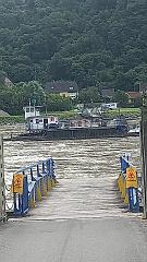 Donau (100)